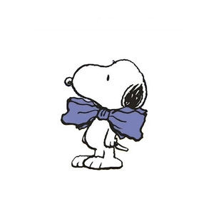 Meet your Posher, Camila